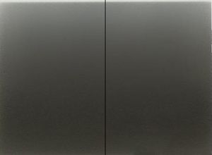 Фото ABB Olas 8411 AP Клавиша двойная (перламутровый металлик)