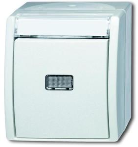 Фото ABB Ocean 2CKA001484A0378 Кнопка без фиксации (10 А, подсветка, поле для надписи,, IP44, в сборе, открытая установка, альпийский белый)