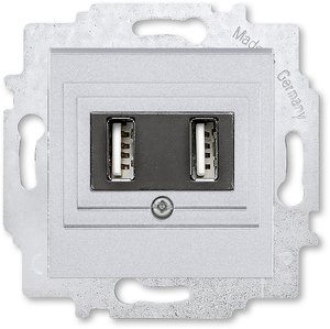 Фото ABB Levit 2CHH290040A6070 Розетка USB (2xUSB, под рамку, скрытая установка, cеребро/дымчатый черный)