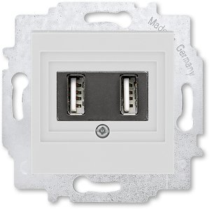 Фото ABB Levit 2CHH290040A6016 Розетка USB (2xUSB, под рамку, скрытая установка, серый/белый)