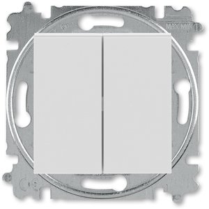 Фото ABB Levit 2CHH590545A6016 Выключатель двухклавишный (10 А, под рамку, скрытая установка, серый/белый)