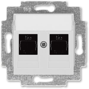 Фото ABB Levit 2CHH295118A6016 Розетка компьютерная (поле для надписи, 2хRJ45, под рамку, cat.5e, с/у, серый/белый)