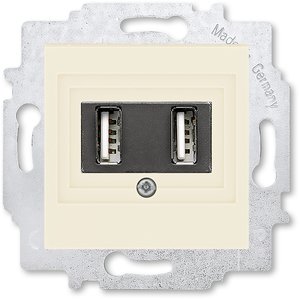 Фото ABB Levit 2CHH290040A6017 Розетка USB (2xUSB, под рамку, скрытая установка, слоновая кость/белый)