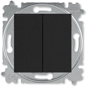 Фото ABB Levit 2CHH590545A6063 Выключатель двухклавишный (10 А, под рамку, скрытая установка, антрацит/дымчатый черный)