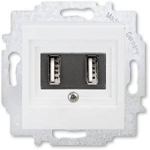 Фото ABB Levit 2CHH290040A6003 Розетка USB (2xUSB, под рамку, скрытая установка, белый/белый)