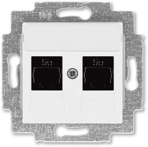 Фото ABB Levit 2CHH295118A6003 Розетка компьютерная (поле для надписи, 2хRJ45, под рамку, cat.5e, с/у, белый/белый)