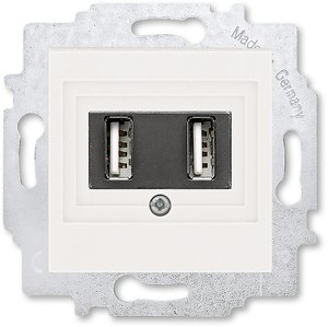 Фото ABB Levit 2CHH290040A6068 Розетка USB (2xUSB, под рамку, скрытая установка, жемчуг/ледяной)
