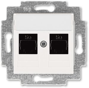 Фото ABB Levit 2CHH295118A6068 Розетка компьютерная (поле для надписи, 2хRJ45, под рамку, cat.5e, с/у, жемчуг/ледяной)