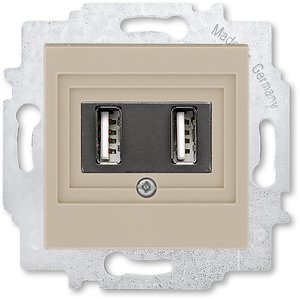 Фото ABB Levit 2CHH290040A6018 Розетка USB (2xUSB, под рамку, скрытая установка, кофе макиато/белый)