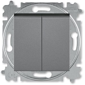 Фото ABB Levit 2CHH590545A6069 Выключатель двухклавишный (10 А, под рамку, скрытая установка, сталь/дымчатый черный)