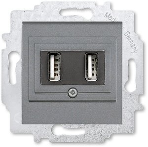 Фото ABB Levit 2CHH290040A6069 Розетка USB (2xUSB, под рамку, скрытая установка, сталь/дымчатый черный)
