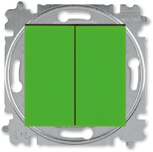 Фото ABB Levit 2CHH595245A6067 Переключатель двухклавишный (10 А, под рамку, скрытая установка, зеленый/дымчатый черный)