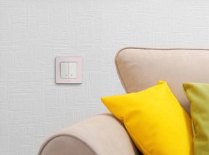 Фото Legrand Inspiria 673630 выключатель двухклавишный с подсветкой/индикацией для скрытого монтажа, цвет "Белый", номинальный ток 10 А, напряжение ~250В
