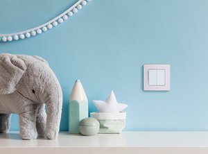 Фото Legrand Inspiria 673620 выключатель двухклавишный для скрытого монтажа, цвет "Белый", номинальный ток 10 А, напряжение ~250В.