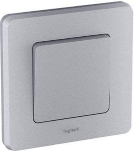 Фото Legrand Inspiria 673932 рамка декоративная универсальная, 1 пост, для горизонтальной или вертикальной установки, цвет "Алюминий"