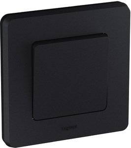 Фото Legrand Inspiria 673933 рамка декоративная универсальная, 1 пост, для горизонтальной или вертикальной установки, цвет "Антрацит"
