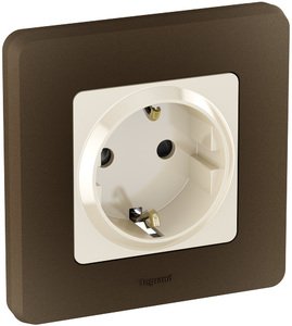 Фото Legrand Inspiria 673731 розетка с заземлением и интегрированными защитными шторками для скрытого монтажа, цвет "Слоновая кость". Максимальный ток 16 А, напряжение ~250В, максимальная мощность 3680 Вт.
