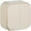 Фото Legrand Quteo 782232 Выключатель двухклавишный (10 А, с возм. подсветки, в сборе, открытая установка, IP20, слоновая кость)