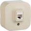 Фото Legrand Quteo 782244 Розетка телефонная (RJ11, в сборе, открытая установка, слоновая кость)