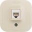 Фото Legrand Quteo 782244 Розетка телефонная (RJ11, в сборе, открытая установка, слоновая кость)
