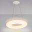 Фото Arlight 021267 ALT-TOR-BB460PW-24W Warm White светильник