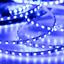 Фото Arlight RT 2-5000 015004 Светодиодная лента 12В Blue-5mm 2x (3528, IP33, 600 LED, LUX, 5 м)