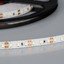 Фото Arlight RT 2 Day White 2x 012341 Светодиодная лента 12В (3528, IP33, 600 LED, LUX, 5 м)