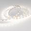 Фото Arlight RT 2-5000 012338 Светодиодная лента 12В Day White 2x (5060, IP33, 300 LED, LUX, 5 м)