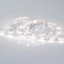 Фото Arlight RT 2 Day White 011570 Светодиодная лента 12В (5060, IP33, 150 LED, LUX, 5 м)