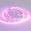 Фото Arlight RT 2-5000 015897 Светодиодная лента 12В Pink 2x (3528, IP33, 600 LED, LUX, 5 м)