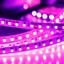 Фото Arlight RT 2-5000 015897 Светодиодная лента 12В Pink 2x (3528, IP33, 600 LED, LUX, 5 м)