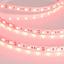 Фото Arlight RT 2-5000 012343 Светодиодная лента 12В Red 2x (5060, IP33, 300 LED, LUX, 5 м)