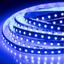 Фото Arlight RT 2-5000 008783 Светодиодная лента 24В Blue 2x (3528, IP33, 600 LED, LUX, 5 м)