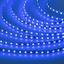 Фото Arlight RT 2-5000 015660 Светодиодная лента 24В Blue-5mm 2x (3528, IP33, 600 LED, LUX, 5 м)