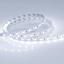 Фото Arlight RT 2-5000 013757 Светодиодная лента 24В Cool 2x (5060, IP33, 300 LED, LUX, 5 м)