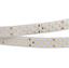 Фото Arlight RT 2-5000 019924 Светодиодная лента 24В Cool 3x2 (2835, IP33, 1260 LED, LUX, 5 м)