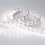 Фото Arlight RT 2 Day White 2x2 013759 Светодиодная лента 24В (5060, IP33, 600 LED, LUX, 5 м)