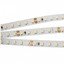 Фото Arlight RT 2 Day White 2x 011581 Светодиодная лента 24В (3528, IP33, 600 LED, LUX, 5 м)