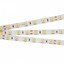 Фото Arlight RT 2 Day White 2x 011571 Светодиодная лента 24В (5060, IP33, 300 LED, LUX, 5 м)