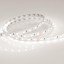 Фото Arlight RT 2 Day White 2x 011571 Светодиодная лента 24В (5060, IP33, 300 LED, LUX, 5 м)
