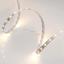 Фото Arlight RT 2-5000 016145 Светодиодная лента 24В Warm (3528, IP33, 300 LED, LUX, 5 м)