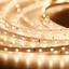 Фото Arlight RT 2-5000 016145 Светодиодная лента 24В Warm (3528, IP33, 300 LED, LUX, 5 м)