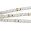 Фото Arlight RT 2-5000 010347 Светодиодная лента 24В White 2x (3528, IP33, 600 LED, LUX, 5 м)
