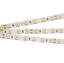 Фото Arlight RT 2-5000 008829 Светодиодная лента 24В White 2x (5060, IP33, 300 LED, LUX, 5 м)