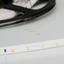 Фото Arlight RT 2-5000 011504 Светодиодная лента 24В White (3528, IP33, 300 LED, LUX, 5 м)