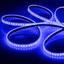 Фото Arlight RTW 2-5000PGS 013392 Светодиодная лента 12В Blue 2x (3528, IP67, 600 LED, LUX, 5 м)