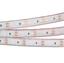 Фото Arlight RTW 2-5000PGS 013392 Светодиодная лента 12В Blue 2x (3528, IP67, 600 LED, LUX, 5 м)