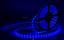 Фото Arlight RTW 2-5000PGS 013393 Светодиодная лента 12В Blue (3528, IP67, 300 LED, LUX, 5 м)