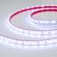 Фото Arlight RTW 2-5000PGS 016839 Светодиодная лента 12В Cool (3528, IP67, 300 LED, LUX, 5 м)