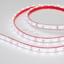Фото Arlight RTW 2-5000PGS 015446 Светодиодная лента 12В Day White (3528, IP67, 300 LED, LUX, 5 м)